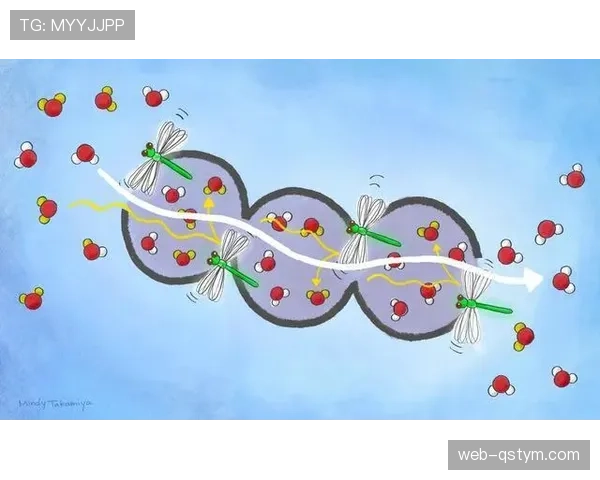 莱奥与马丁内利：突破效率与战术适配性的关键差异